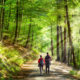 2 people walking on a path in the middle of a forest