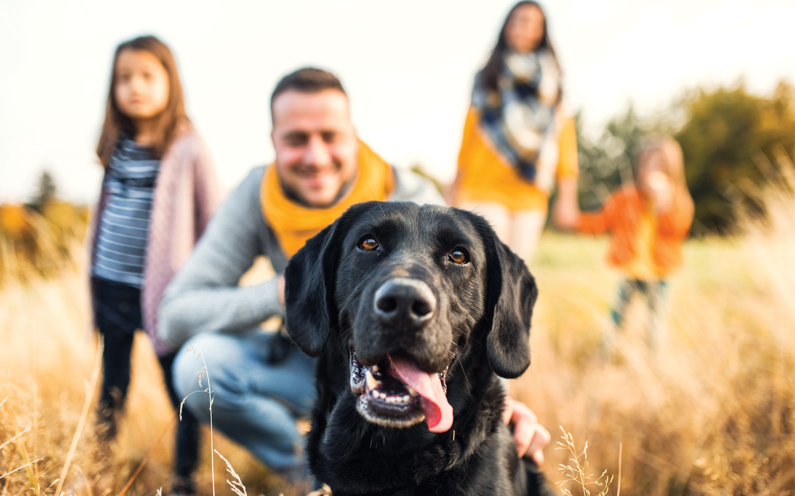 Pet Insurance